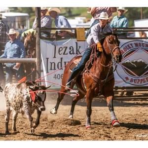 Meet your Posher, Lawrence